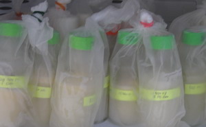 Foto ASIP di freezer :)