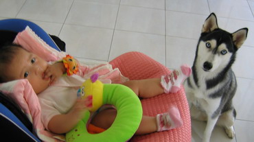Aurel and Husky